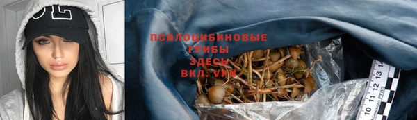 сатива Вязники
