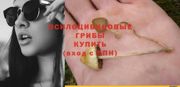 сатива Вязники