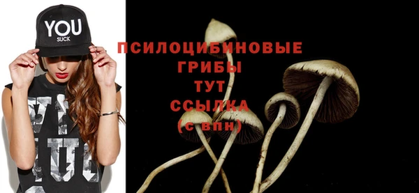 COCAINE Тайга
