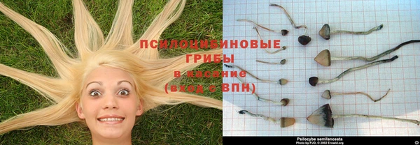 сатива Вязники