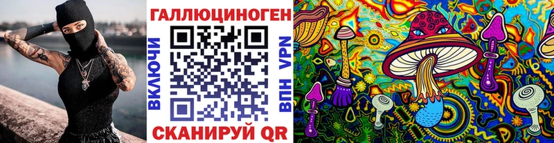 Галлюциногенные грибы Psilocybe  Снежинск 